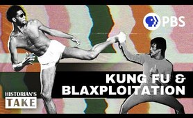 Why Was Everybody Kung Fu Fighting In The 70s?