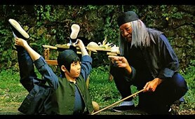 Preceptor Of Kung Fu ll Best Chinese Martial Art Action Movie in Hindi