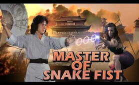 Master of Snake Fist ll Jackie Chan Best Chinese Kungfu Action Hindi Dubbed Movie ll Panipat Movies