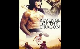 Jackie Chan Classic Movie Revenge Of The Dragon 1979