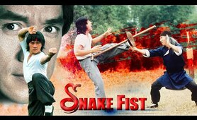 Snake Fist ll Jackie Chan Chinese Martial Art Action Movie in English ll Mountain Movies