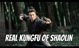 Wu Tang Collection - Real Kung Fu of Shaolin