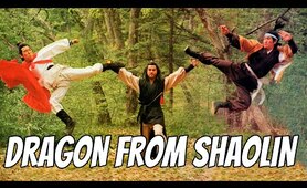 Wu Tang Collection - Dragon from Shaolin WIDESCREEN